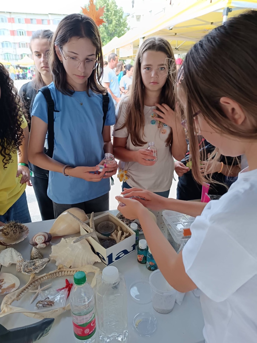Fete care studiază scoici și melci la un atelier despre natură